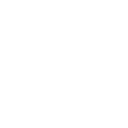 Eco Birdy